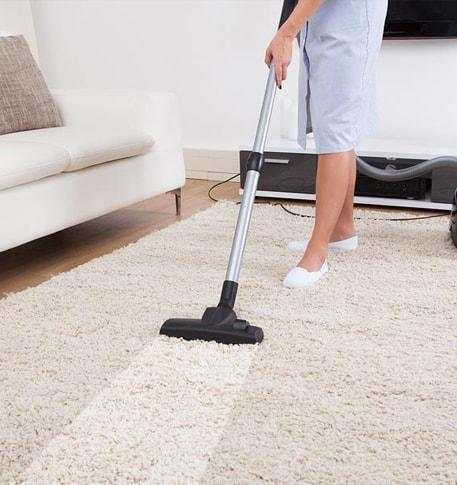 Carpet Cleaners 32738