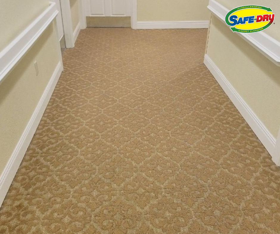 Remove Harmful Germs from Carpet with the Help of Our Experts!